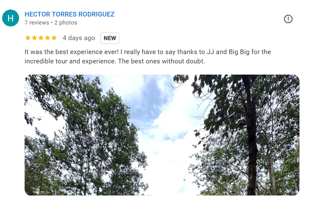 pon elephpant chiangmai thailand reviews